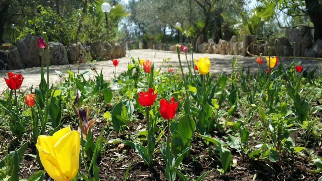 Agriturismo Tenuta La Siesta Gallipoli Kültér fotó