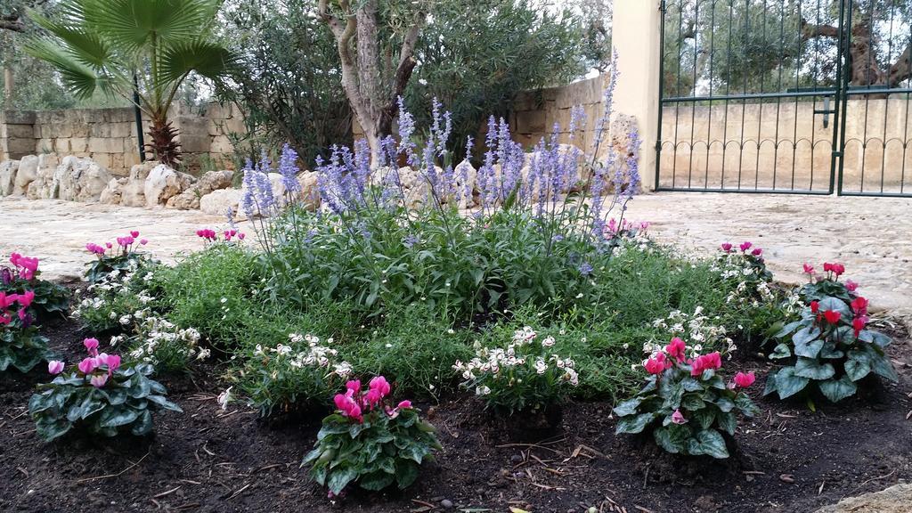Agriturismo Tenuta La Siesta Gallipoli Kültér fotó