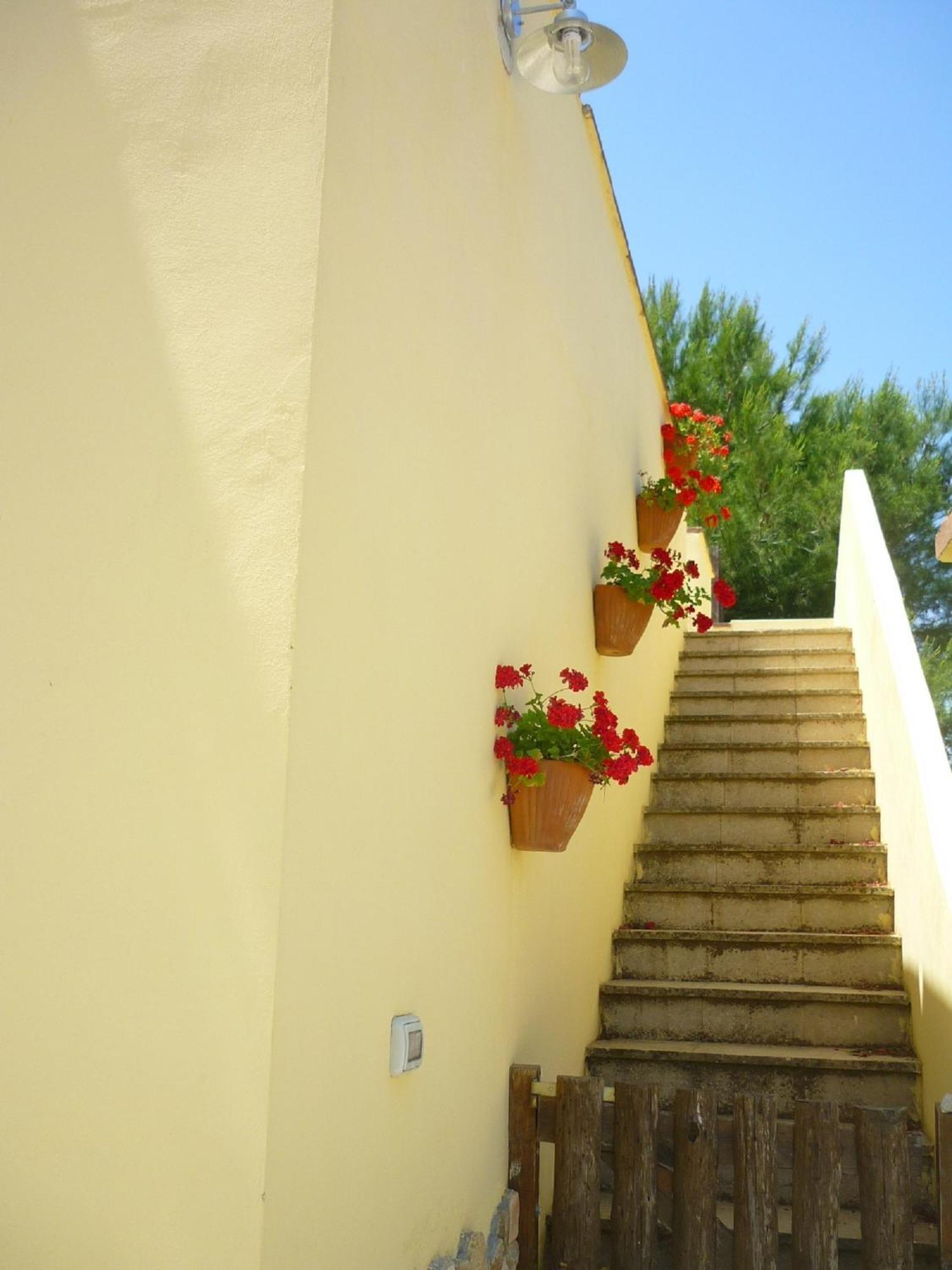 Agriturismo Tenuta La Siesta Gallipoli Kültér fotó