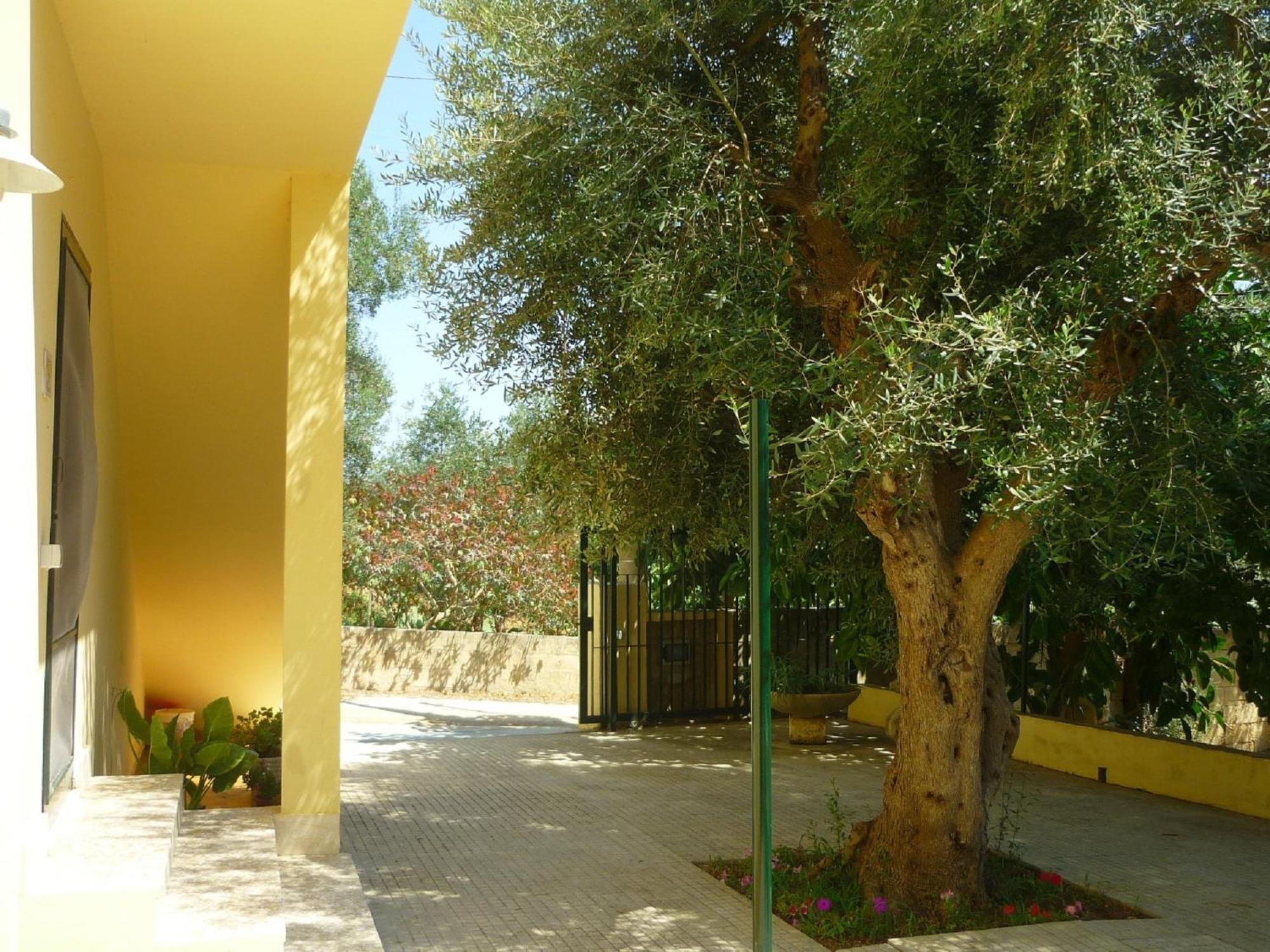 Agriturismo Tenuta La Siesta Gallipoli Kültér fotó