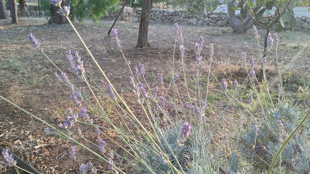 Agriturismo Tenuta La Siesta Gallipoli Kültér fotó
