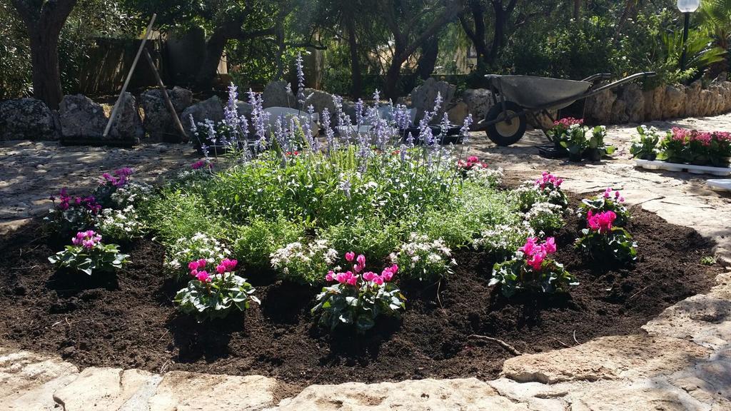 Agriturismo Tenuta La Siesta Gallipoli Kültér fotó