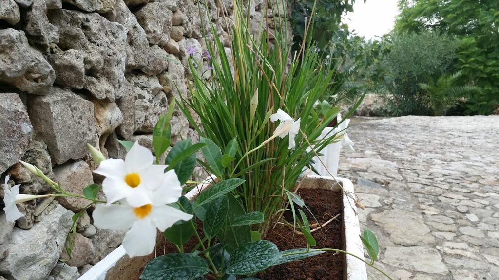 Agriturismo Tenuta La Siesta Gallipoli Kültér fotó
