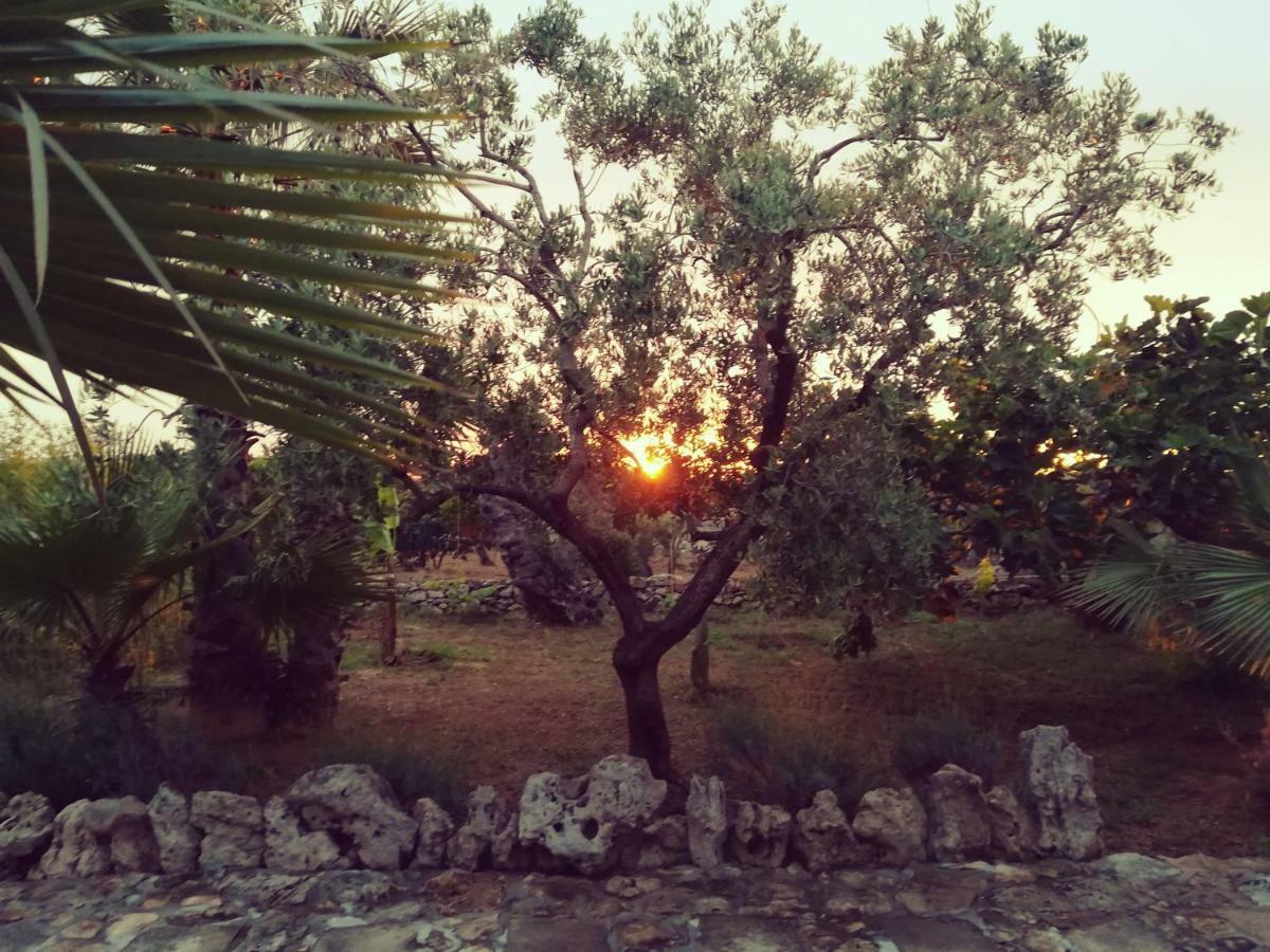 Agriturismo Tenuta La Siesta Gallipoli Kültér fotó