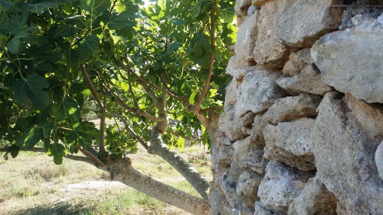 Agriturismo Tenuta La Siesta Gallipoli Kültér fotó