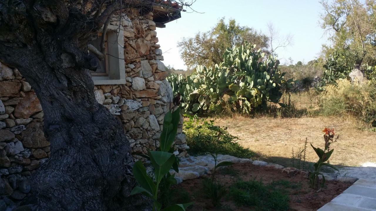 Agriturismo Tenuta La Siesta Gallipoli Kültér fotó